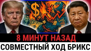 БРИКС и Китай провели ЕДИНУЮ ОПЕРАЦИЮ против Трампа¿ Кредитам США объявлен бойкот?