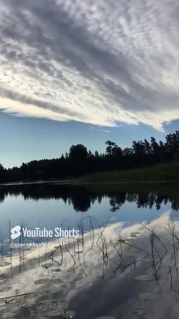 Ленинградская область. Хвойное. 16.07.2024. Река Вуокса. Утро. Красивейший пейзаж