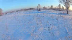 охота на зайца крепкий орешик