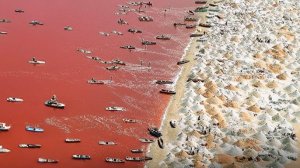 Иран Начал Осушать Персидский Залив, Выкачивая Тонны Воды, Спустя 4 Года Результат Был Шокирующим