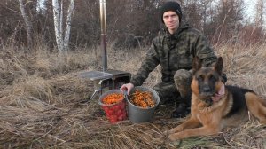 Сбор ягод! 2 ведра Витамина С