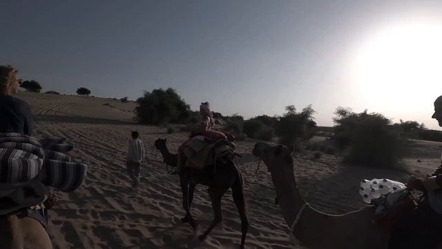 Сафари на верблюдах 24.09