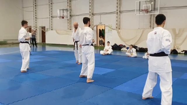 30-11-2025 組手、形、三日月クラブ смотреть онлайн