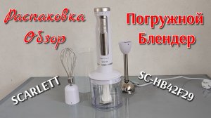 Топ-1💪Погружной блендер SCARLETT SC-HB42F29