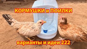 Кормушки и поилки для кур своими руками 222 🪚✂️ Пошаговая инструкция как сделать 🐔 🐓❣️
