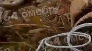 На линии соприкосновения боец ВСУ попытался перехитрить оператора FPV-дрона