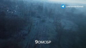 Родинское. Вид с воздуха.