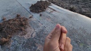 Ep.265 A Girl Speaks Russian to the World