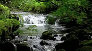 Расслабляющие звуки природы водопада-Естественная музыка щебетания птиц-Медитация под звуки спящих п