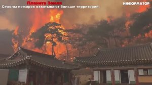 Новости Сегодня 30.11.2025 - Ужас в Америке, Цунами Россия, Москва Ураган, Украина, Катаклизмы, NEWS