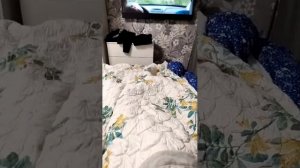 Проверка онлайн //стриминг