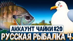 Отправили топ удилище, катушки, наживки и многое другое #рр4