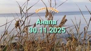 Анапа 30.11.2025 Дикие пляжи
