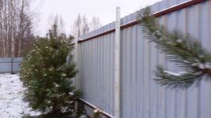 Выпал первый снег. Ждём зиму.