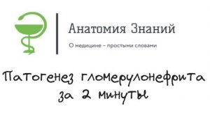 Патогенез гломерулонефрита за 2 минуты