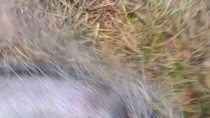 VID_20251130_103059_975