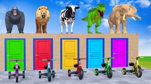 Веселые игры с слоном, гориллой, бегемотом, тигром - 3D игра с животными - Забавные 3D животные