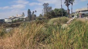 Америка без глянца фермы, мошенники и новая Volvo за 186 тысяч