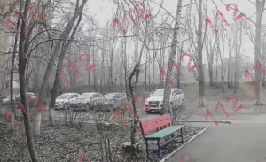 В Оренбурге на девушку рухнуло гнилое дерево — перелом позвоночника.MP4