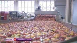 На Ставрополье стартует новая программа по развитию аграрных колледжей