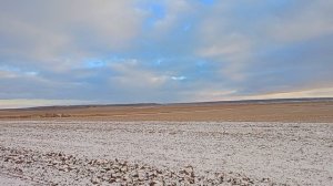 Пасмурный осенний день