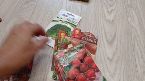 Семена на 2026 г.Рассада на 30 ноября 2025 г