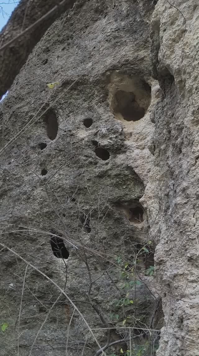 Бельбек Карсты Нижнего Эоцена