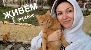 Кладём плитку в прихожей. Тестируем новый измельчитель.