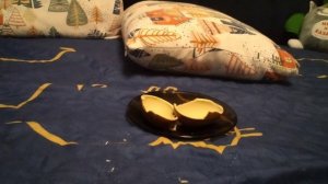 НОВАЯ КОЛЛЕКЦИЯ ОТ КИНДЕРА!