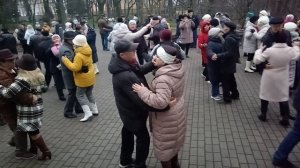 Лебедь белая........ 29.11.25 Гомель парк Луначарского 🥰💫