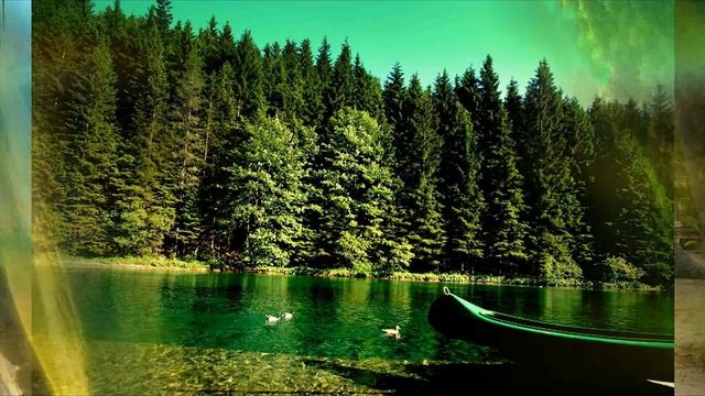 Stive Morgan - Boston Express