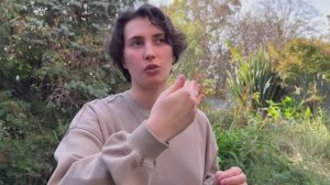 Поток Детоксикации. Смыслы Существования