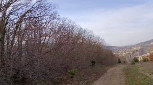 Гора над ЖК Кипарис Сукко 30 Ноября 2025 года