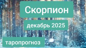 Скорпион ♏, декабрь 2025