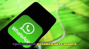 Депутат Боярский: WhatsApp больше не имеет перспектив для работы в России
