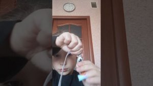 обзор на чехол для Тамагочи бидзи