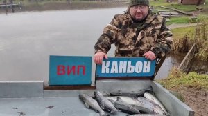 Каньон, рыбалка на форель.