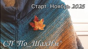 СП "По_Шалим" с Надеждой Пуниной! Старт. Ноябрь 2025.