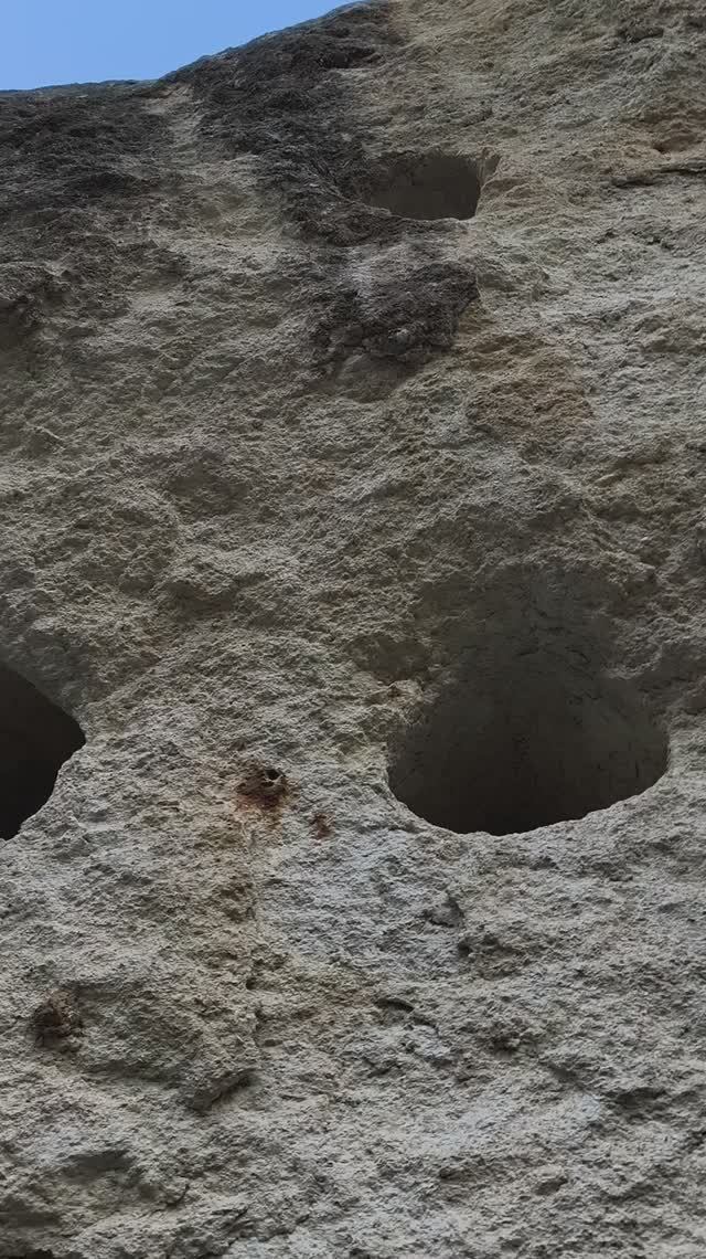 Бельбек за головй Крокодила