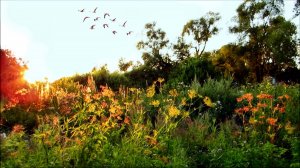 Августовский вечер