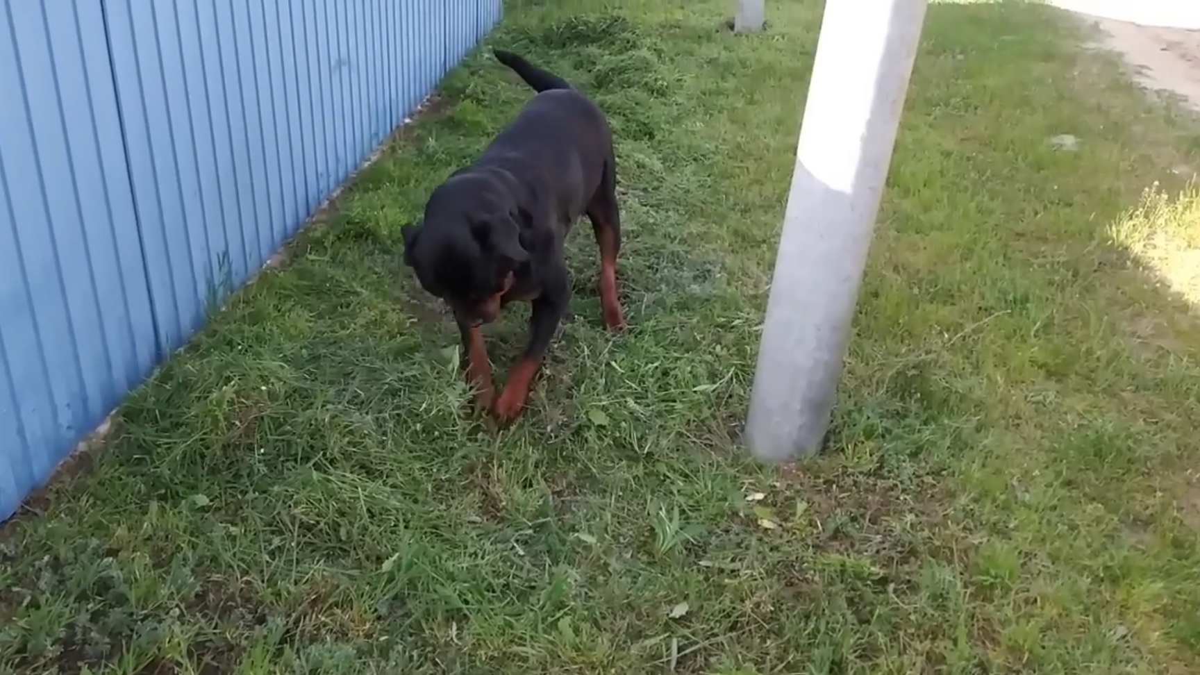 Косим траву. Начало будущему саду положено! Как это было 17 серия.