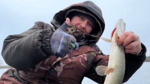 Последний день осени 2025 на рыбалке 🍂🍁🎣