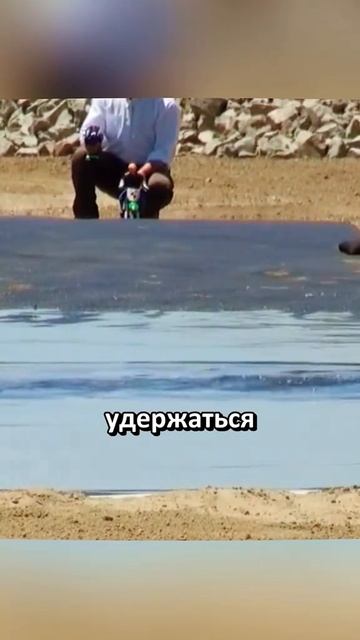 Разрушители легенд