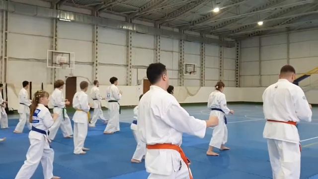 30-11-2025 組手、形、三日月クラブ смотреть онлайн