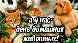 А У НАС ДЕНЬ ДОМАШНИХ ЖИВОТНЫХ!