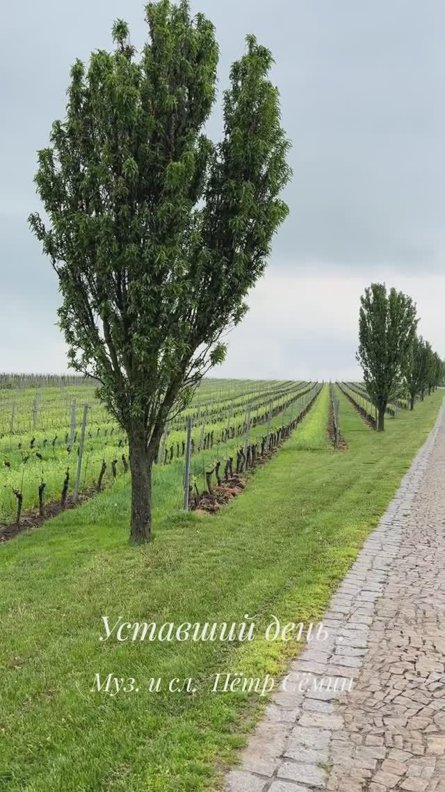 Уставший день муз. и сл. Пётр Сёмин исп Алексей Макаренко