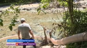 В реки Кабардино-Балкарии выпустили краснокнижных мальков каспийского лосося