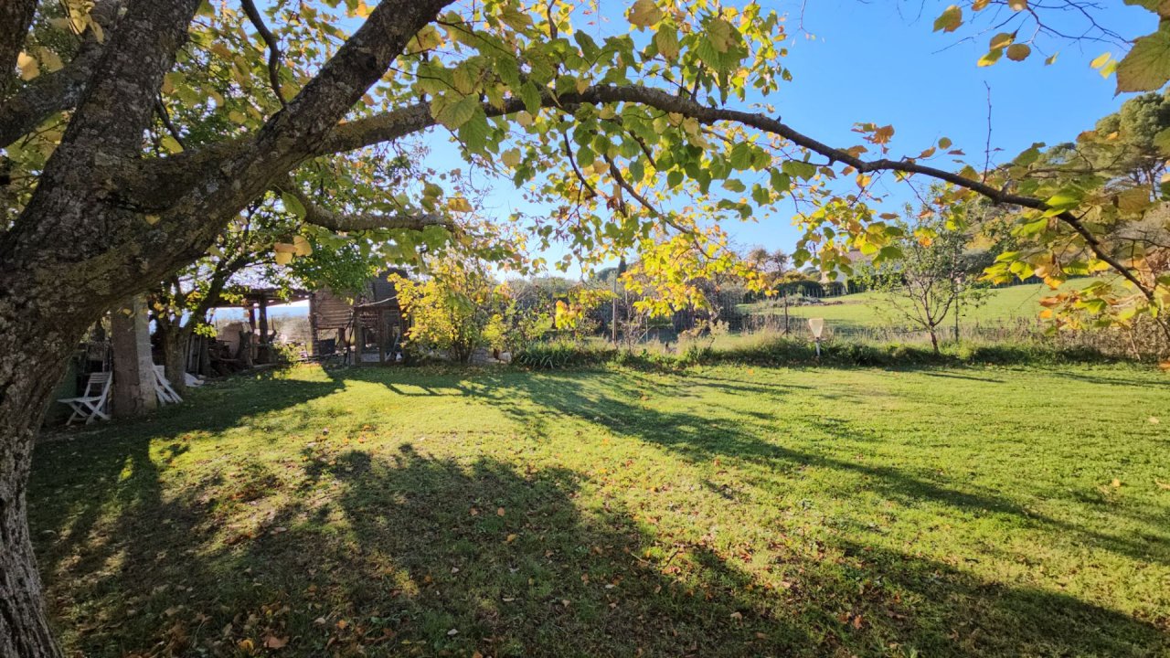 20-23 ноября 2025. Короче, у нас очень похолодало...Урожая больше не будет!)