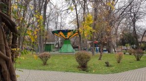 в осеннем парке