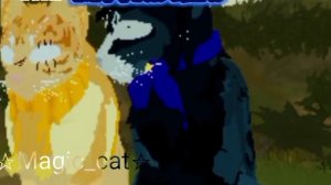 Sun Star&Moon Stars||WCUE